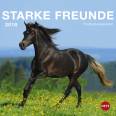 Postkartenkalender Pferde  - 