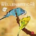 Freche Wellensittiche Postkartenkalender - Kalender 2018 