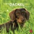 Dackel Postkartenkalender - Kalender 2018 