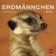 Erdmännchen Postkartenkalender - Kalender 2018 