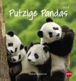 Putzige Pandas Postkartenkalender 2019 