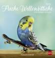 Freche Wellensittiche Postkartenkalender 2019 - 