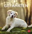 Hunde Postkartenkalender – Treue Gefährten 2019 - 