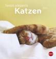 Tierisch entspannte Katzen Postkartenkalender 2019 - 
