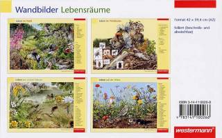 Lebensräume - Wald, Waldboden, Wasser, Wiese  Wandbilder, Format 42 x 59,4 cm (A2)

foliiert (beschreib- und abwischbar)