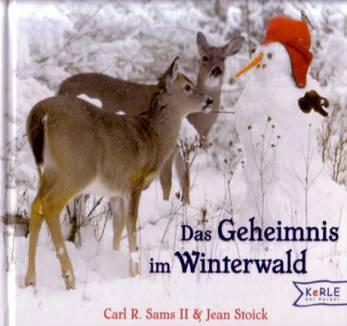 Das Geheimnis im Winterwald