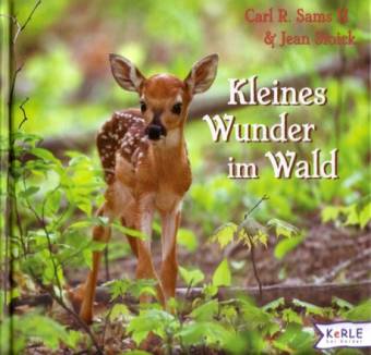 Kleines Wunder im Wald