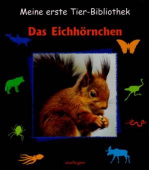 Das Eichhörnchen