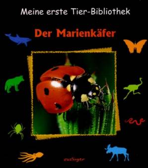 Der Marienkäfer