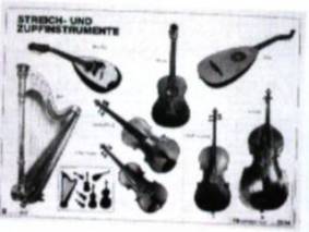 Streich- und Zupfinstrumente Musikposter DIN A 1, schwarz-weiß