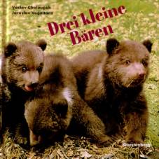Drei kleine Bären