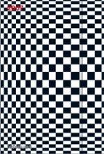 Op Art 2007- Black/White Magneto Diaries