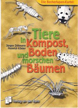 Tiere in Kompost, Boden und morschen Bäumen Die Becherlupen-Kartei