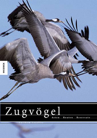 Zugvögel Arten Routen Reservate