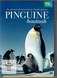 Pinguine hautnah   Das geheimnisvolle Leben tierischer Überlebenskünstler