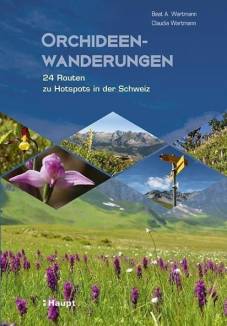Orchideenwanderungen 24 Routen zu Hotspots in der Schweiz