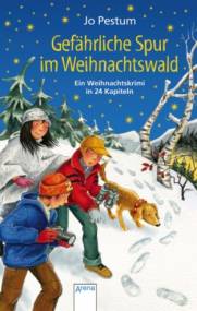 Gefährliche Spur im Weihnachtswald  Ein Weihnachtskrimi in 24 Kapiteln