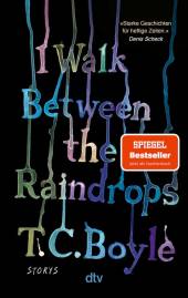 I Walk Between the Raindrops Storys Aus dem Englischen von Dirk van Gunsteren und Anette Grube