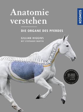 Anatomie verstehen - Die Organe des Pferdes Das Innere des Pferdes sichtbar gemacht