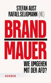 Brandmauer Wie umgehen mit der AfD?