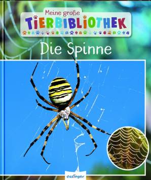Meine große Tierbibliothek Die Spinne