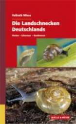 Die Landschnecken Deutschlands Finden - Erkennen - Bestimmen