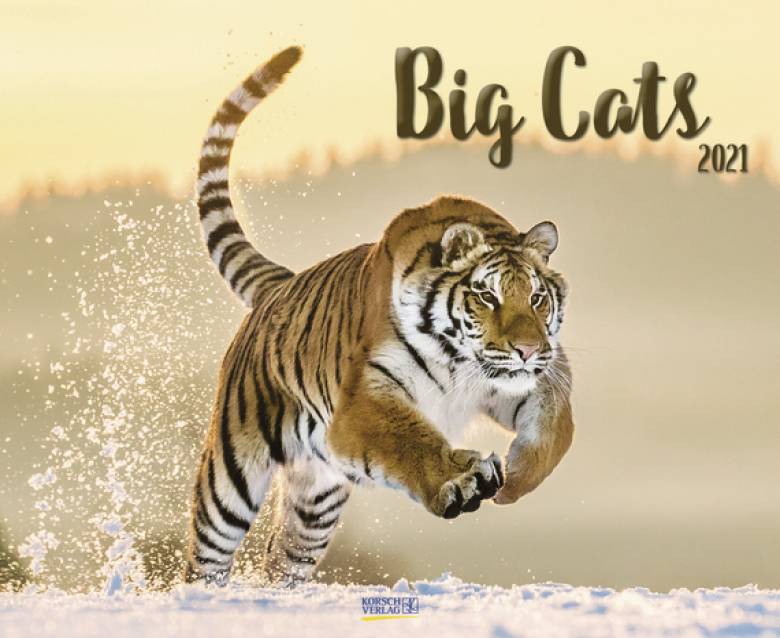 Big Cats 2021