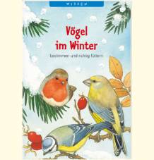 Vögel im Winter bestimmen und richtig füttern