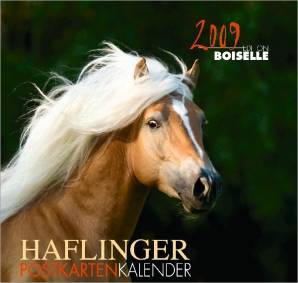 Haflinger Postkartenkalender