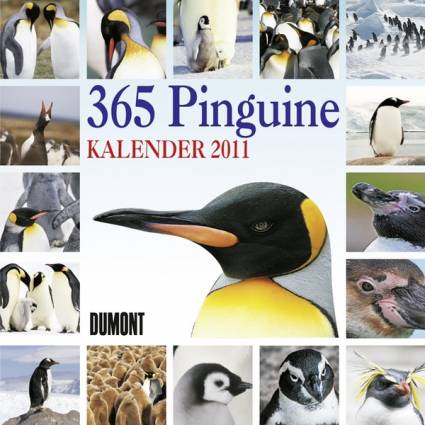 365 Pinguine Kalender 2011