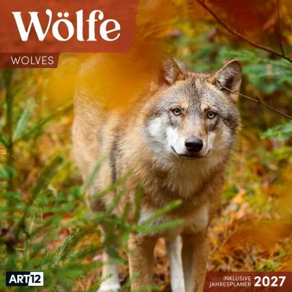 Wölfe Broschürenkalender 2027