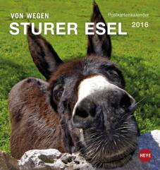 Von wegen sturer Esel Postkartenkalender 2016