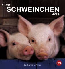 Süsse Schweinchen Postkartenkalender 2016
