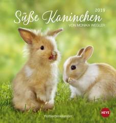 Süße Kaninchen Postkartenkalender 2019