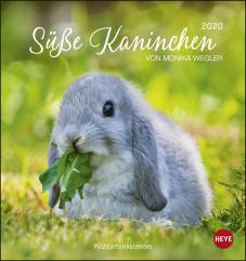 Süße Kaninchen Postkartenkalender 2020