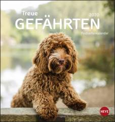Hunde Postkartenkalender – Treue Gefährten 2020