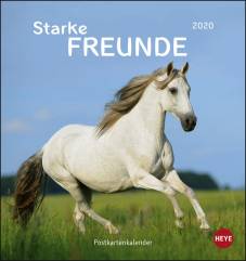 Pferde Postkartenkalender – Starke Freunde 2020