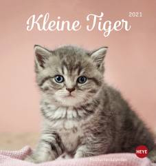 Kleine Tiger 2021 Katzen Postkartenkalender