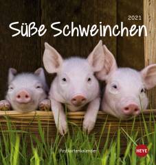 Süße Schweinchen 2021 Schweinchen Postkartenkalender