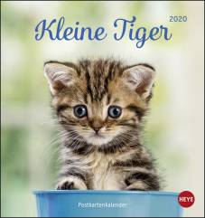 Katzen Postkartenkalender Kleine Tiger 2020