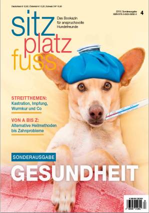 SitzPlatzFuss Sonderausgabe IV„Gesundheit  Sonderausgabe (Juni 2017)