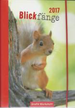 Blickfänge 2017