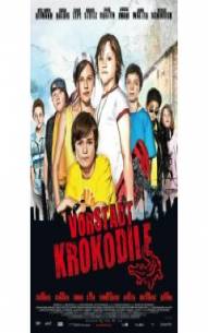 Vorstadtkrokodile Das Buch zum Film