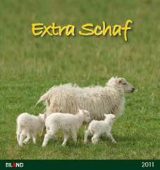 Extra Schaf 2011 Postkartenkalender