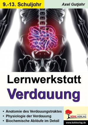 Lernwerkstatt Verdauung Anatomie, Physiologie und Biochemie